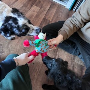 Meet your Posher, Jayden